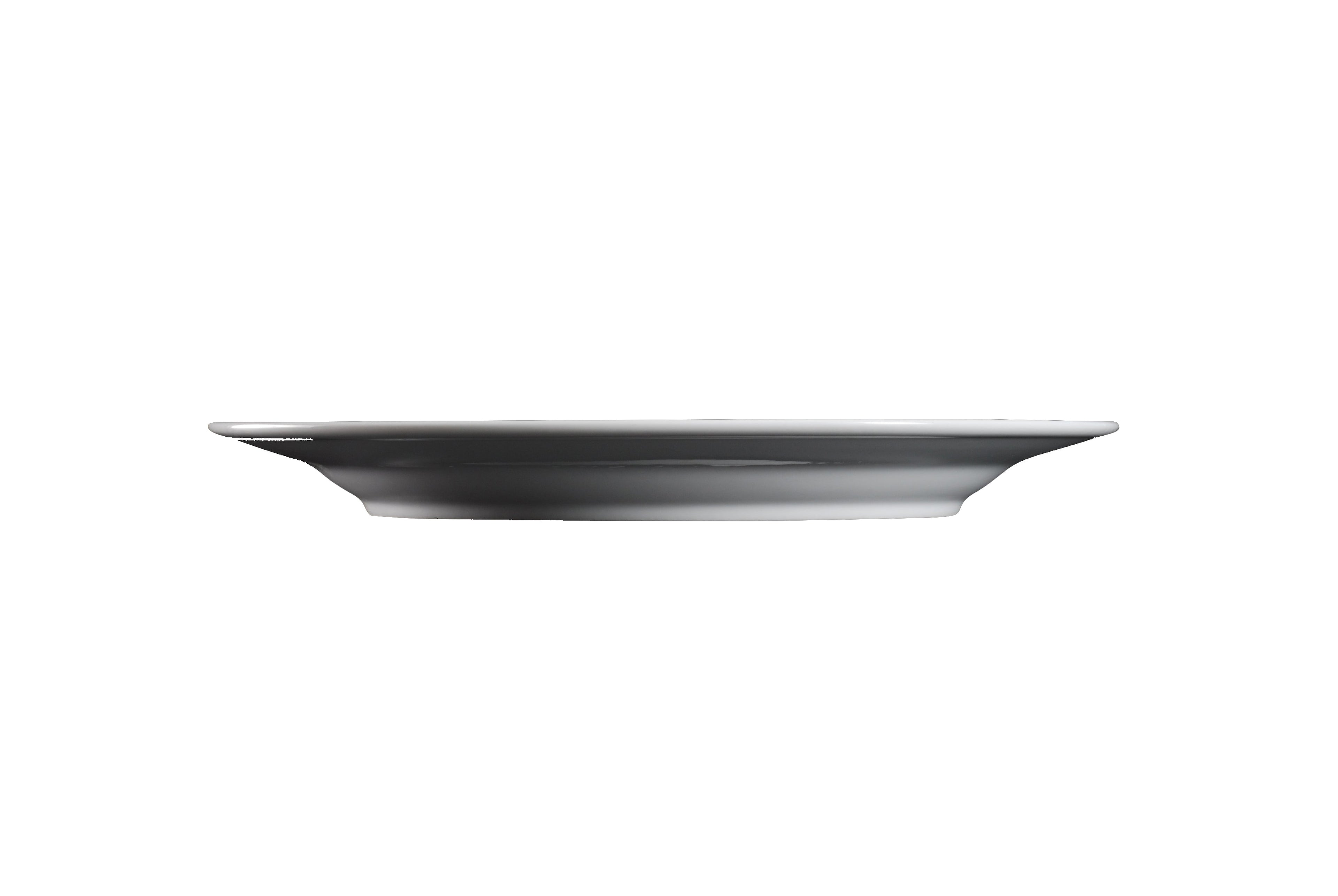 AW-0029 – 10.5’’ Dinner Plate