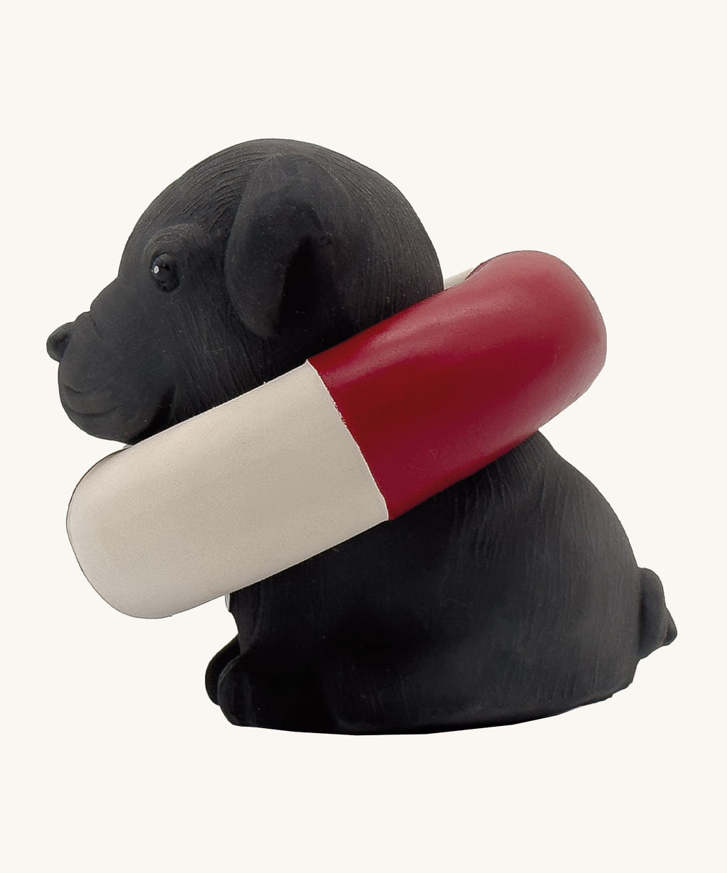 Hevea Bath Buddy Puppy - Max