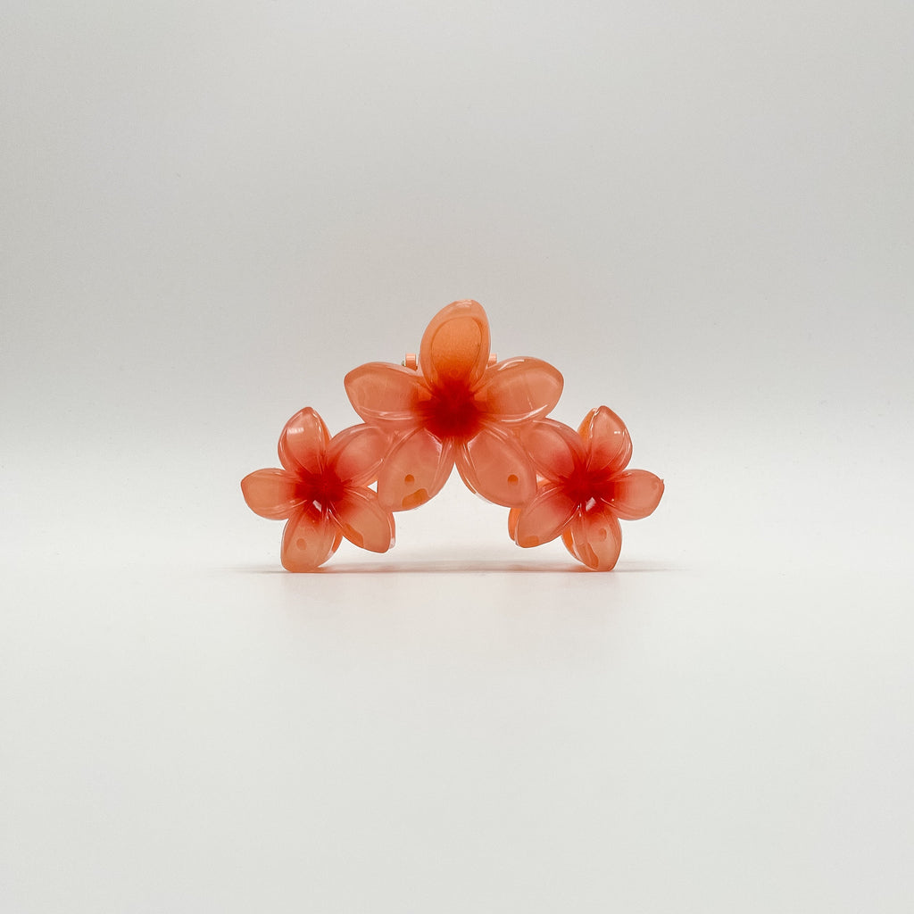 Kalani Hair Clip