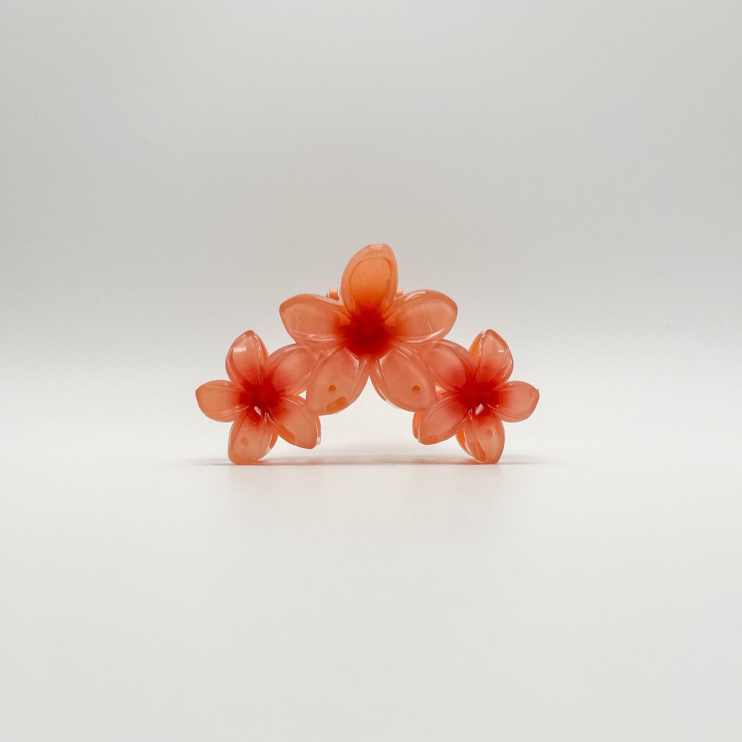 Kalani Hair Clip