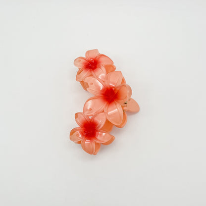 Kalani Hair Clip