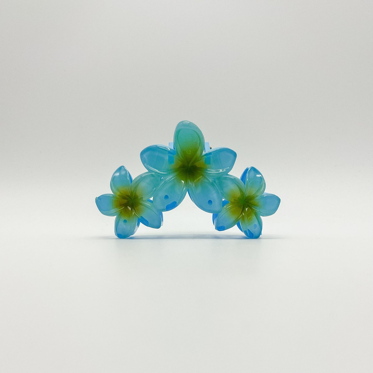 Kalani Hair Clip