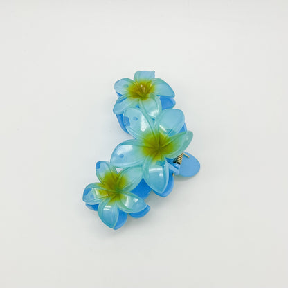 Kalani Hair Clip