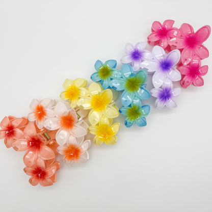 Kalani Hair Clip