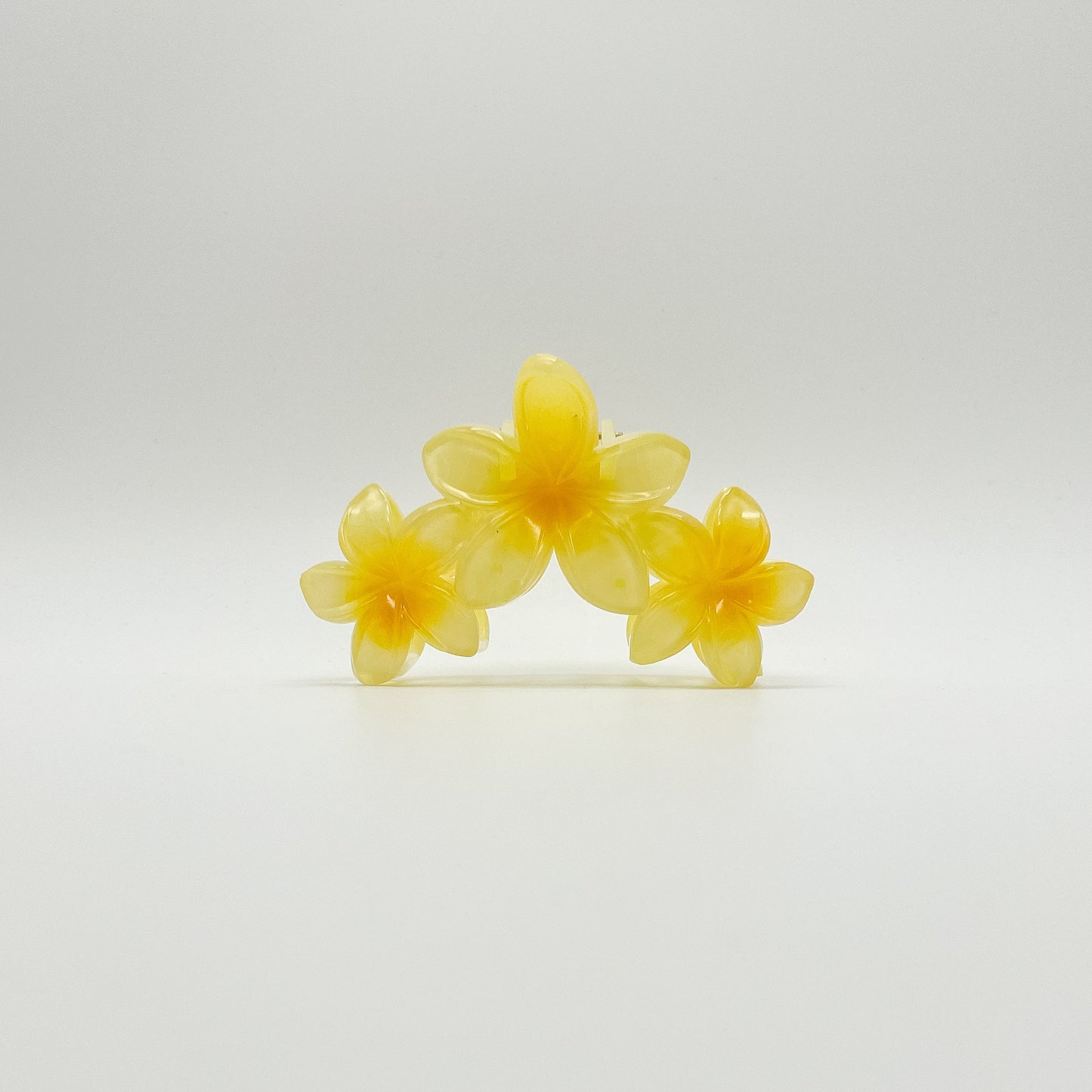 Kalani Hair Clip