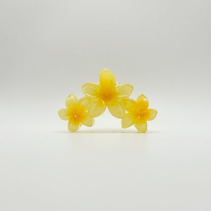 Kalani Hair Clip