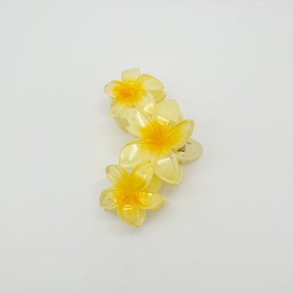 Kalani Hair Clip