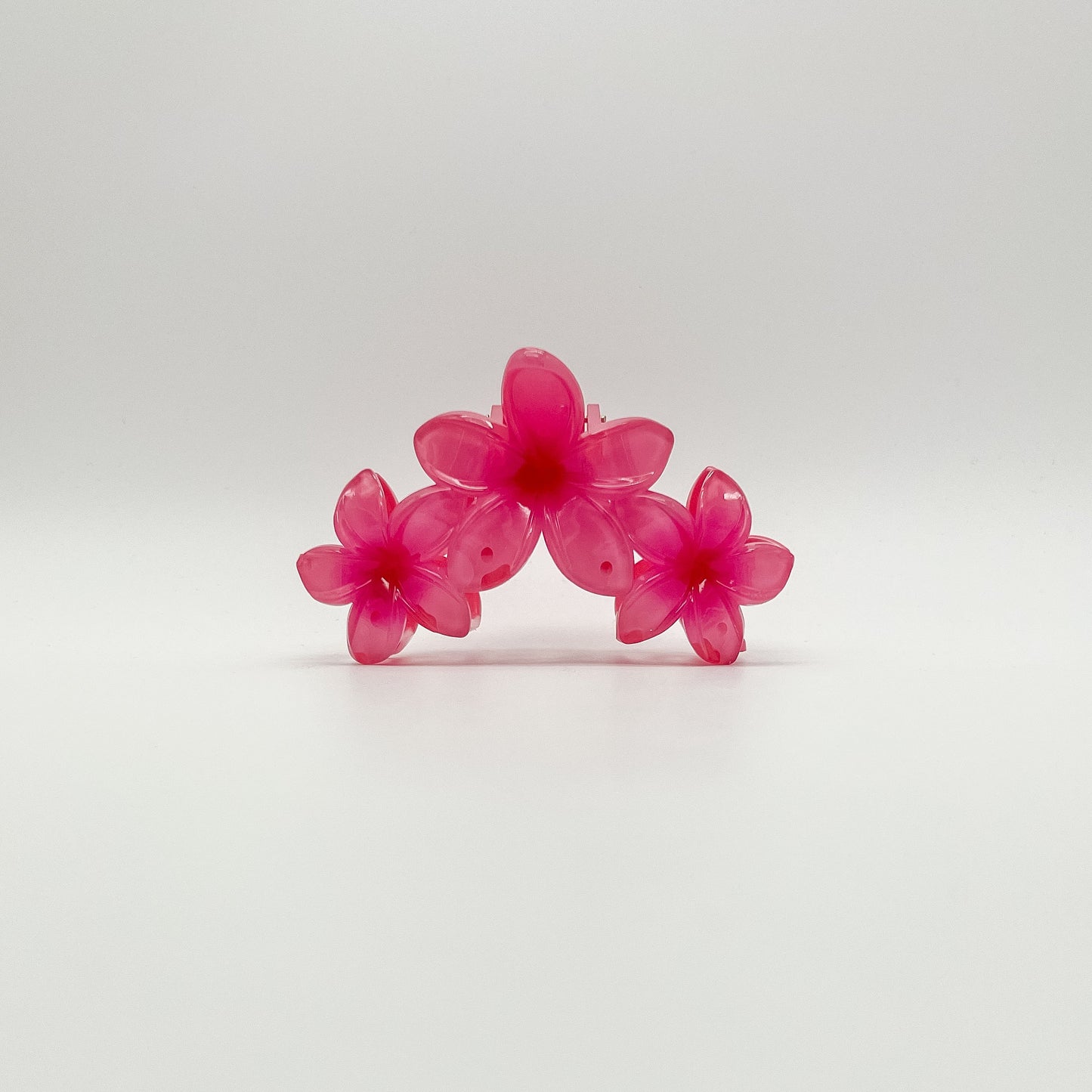 Kalani Hair Clip