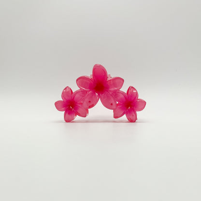 Kalani Hair Clip