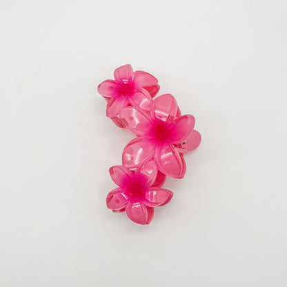 Kalani Hair Clip