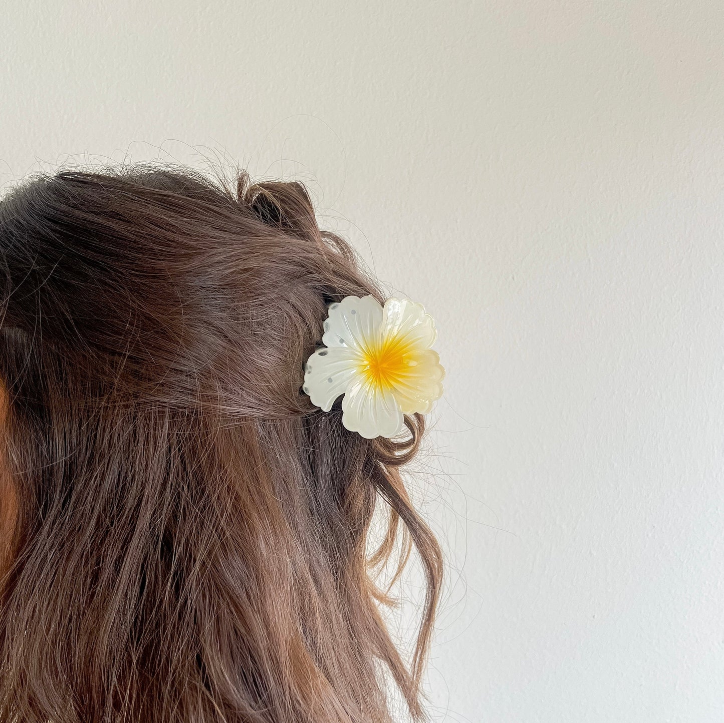 Lani Hair Clip