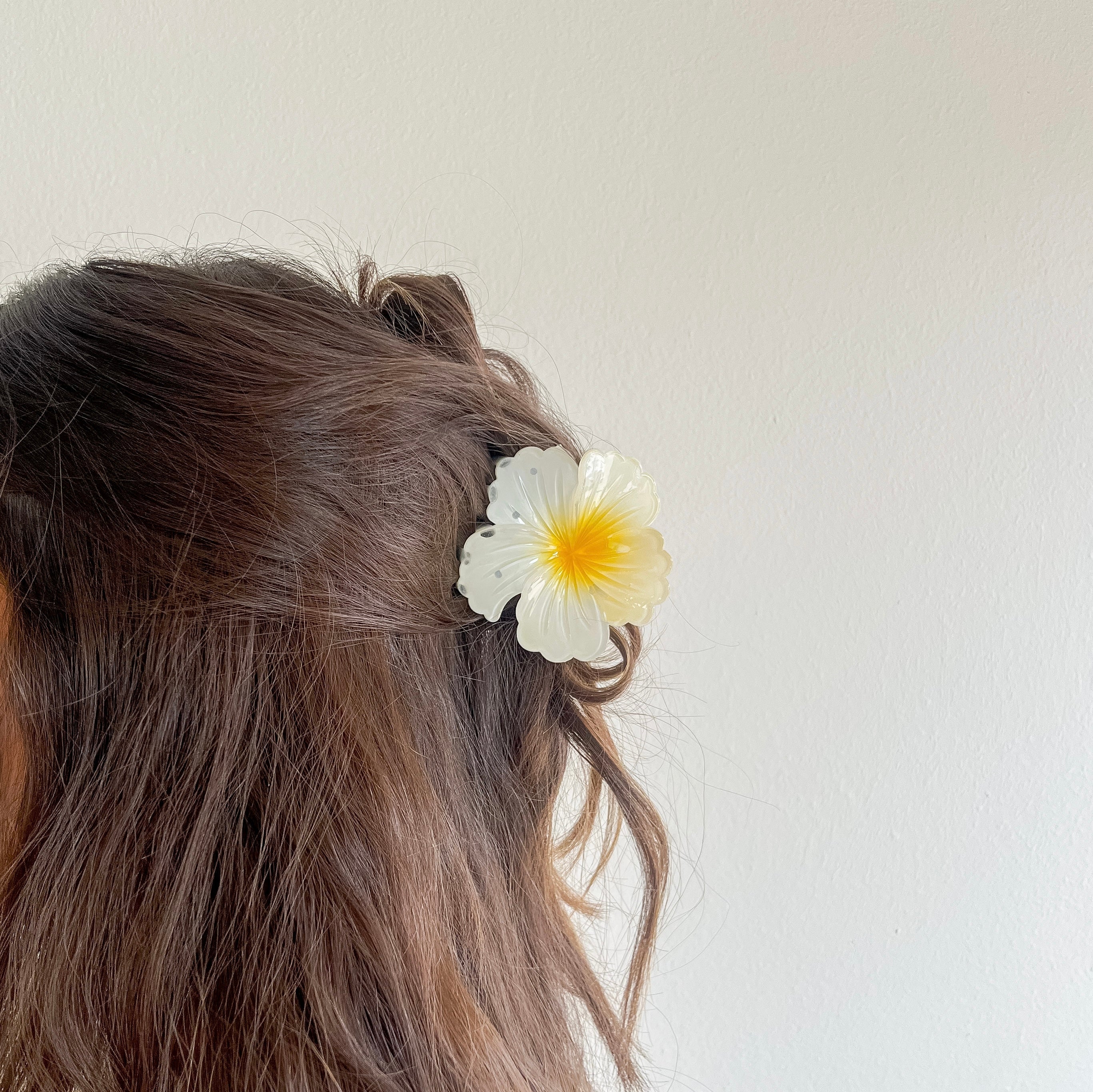 Lani Hair Clip