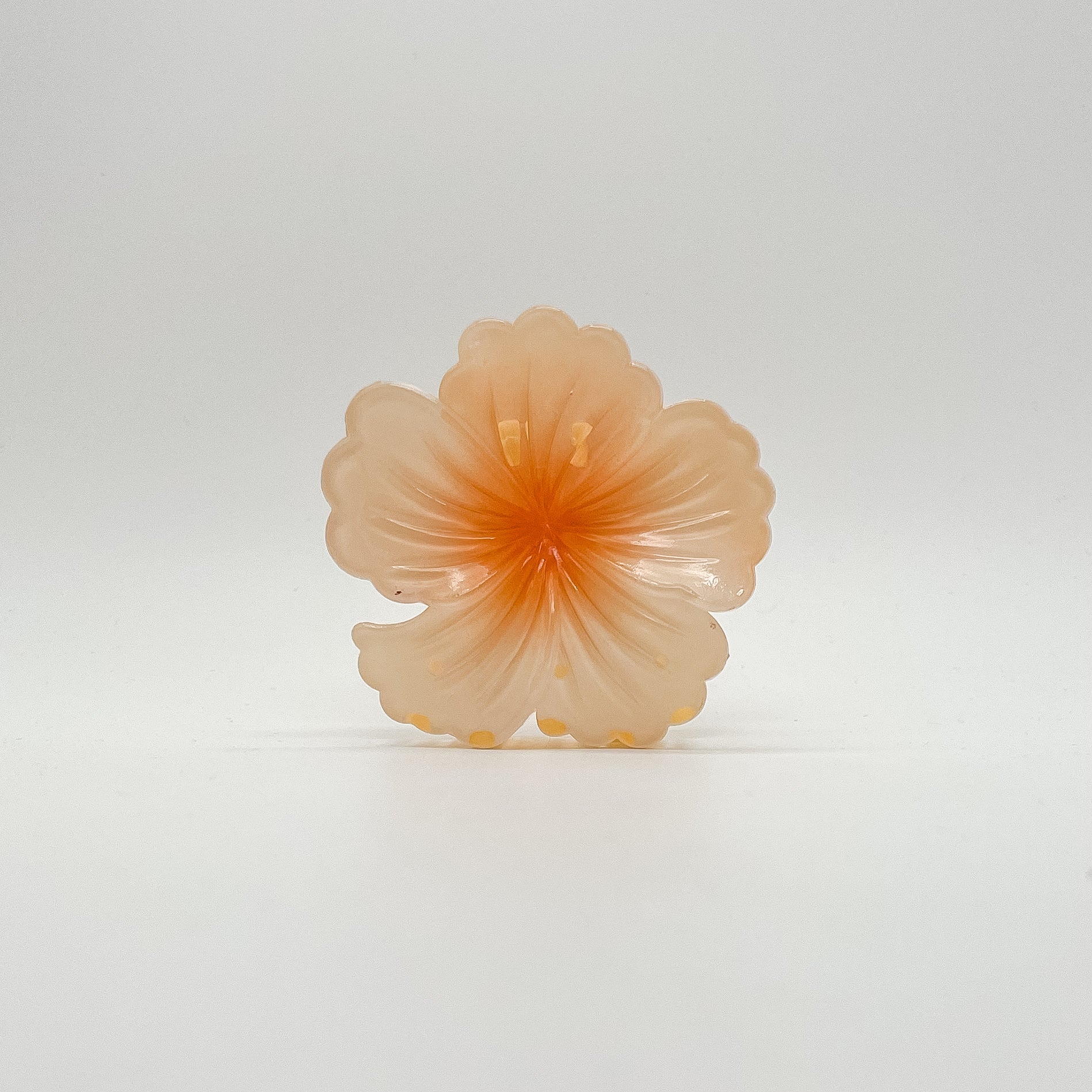 Lani Hair Clip
