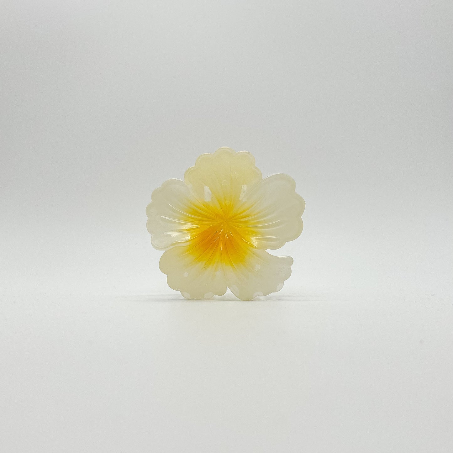 Lani Hair Clip