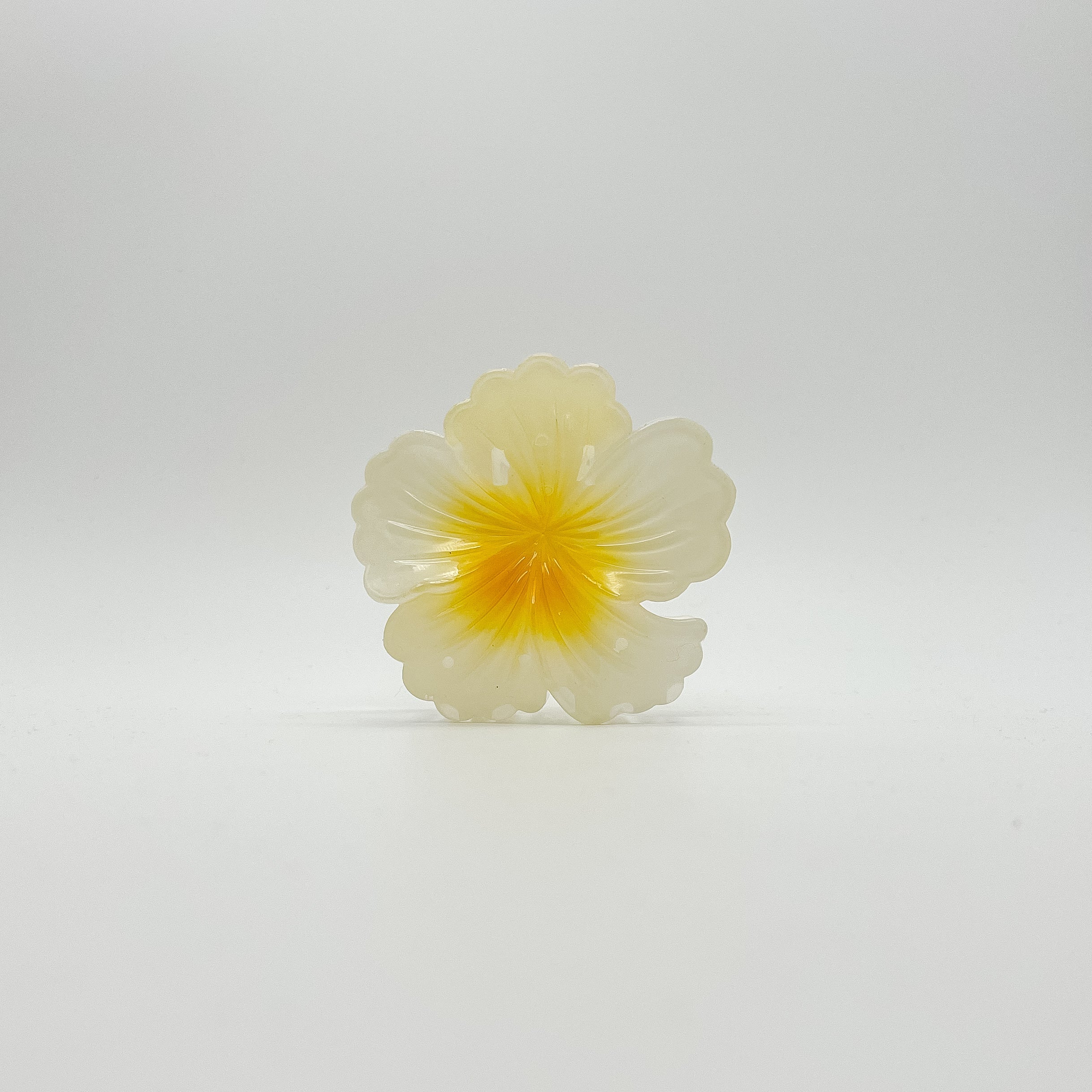Lani Hair Clip
