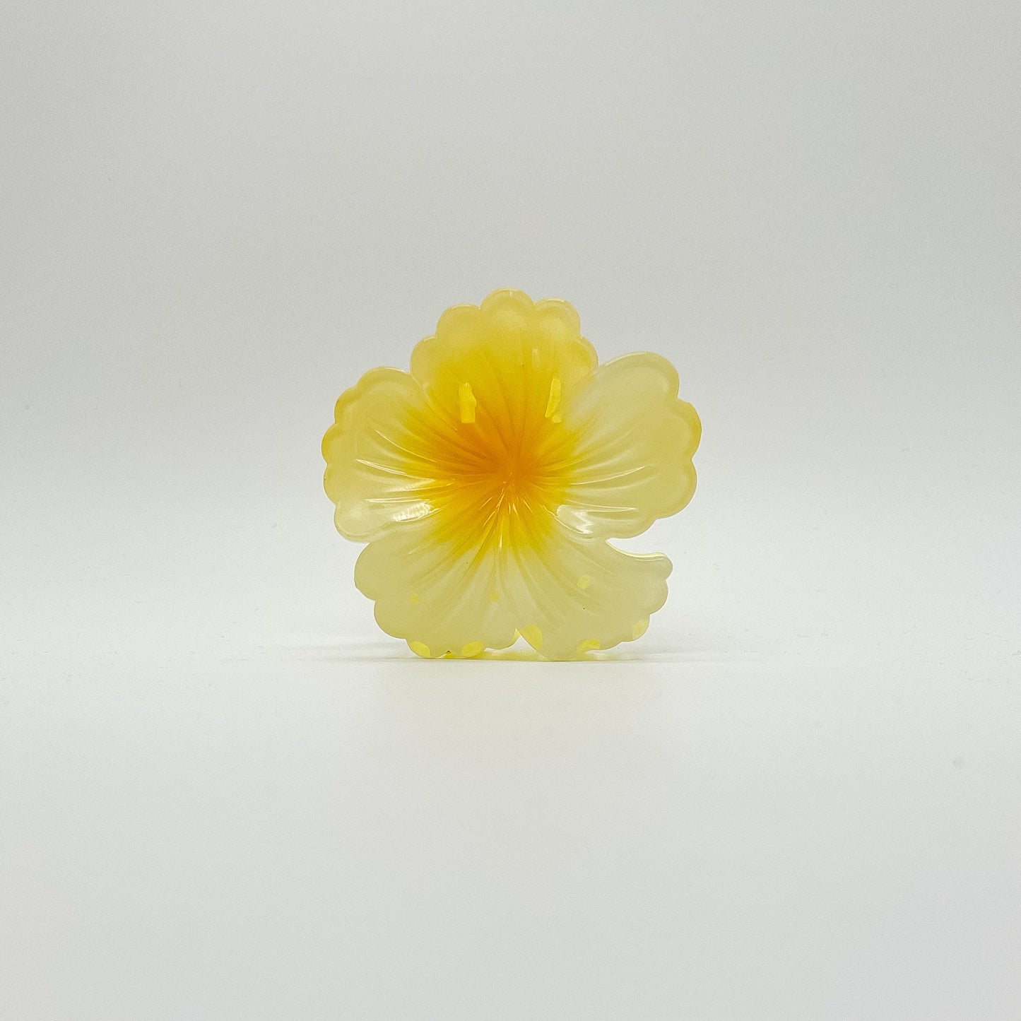 Lani Hair Clip