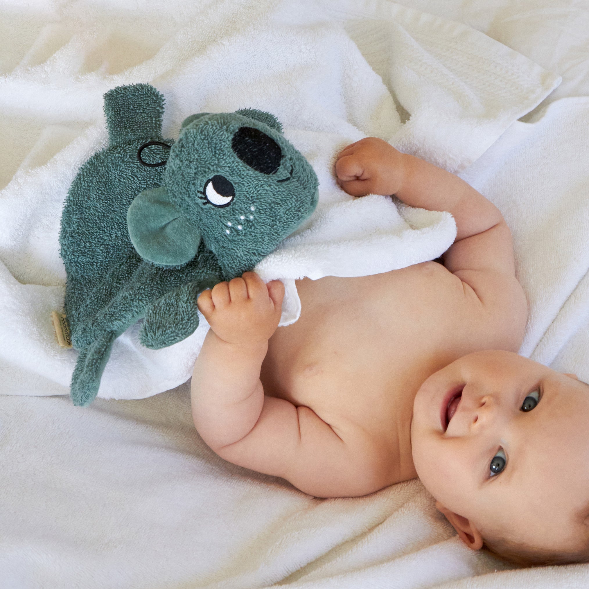Roommate Koala Washcloth Bath Toy